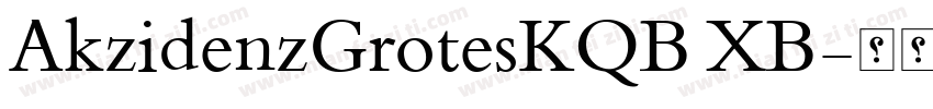 AkzidenzGrotesKQB XB字体转换